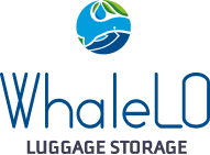 Whalelo Vietnam